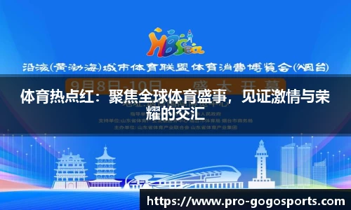 体育热点红：聚焦全球体育盛事，见证激情与荣耀的交汇